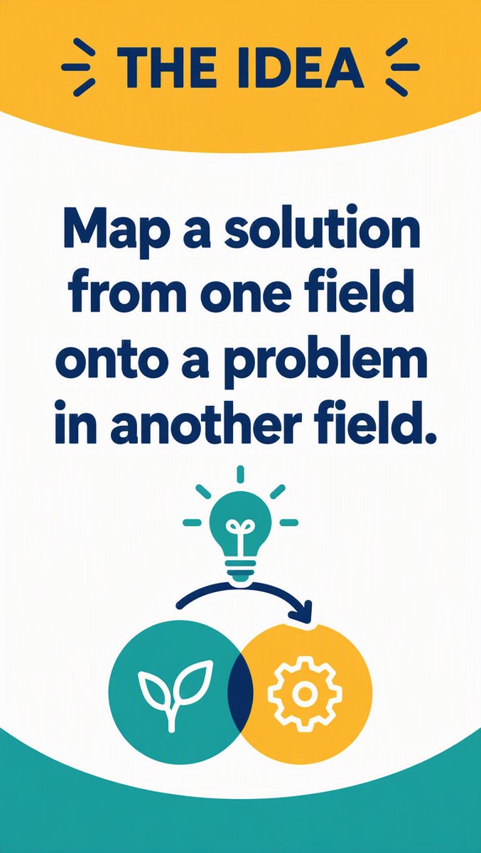 The Idea — map a solution from one field onto a problem in another