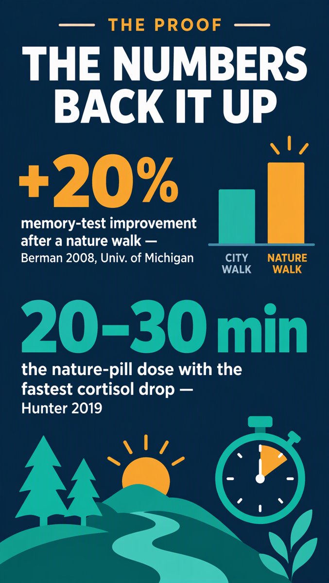 The Proof — The numbers: +20% memory, 20-30 minute dose