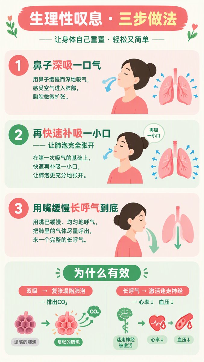生理性叹息三步做法信息图:第一步鼻子深吸一口气;第二步再快速补吸一小口让肺泡完全张开;第三步用嘴缓慢长呼气到底。下方机制说明:双吸复张塌陷肺泡排出CO₂,长呼气激活迷走神经让心率血压下降