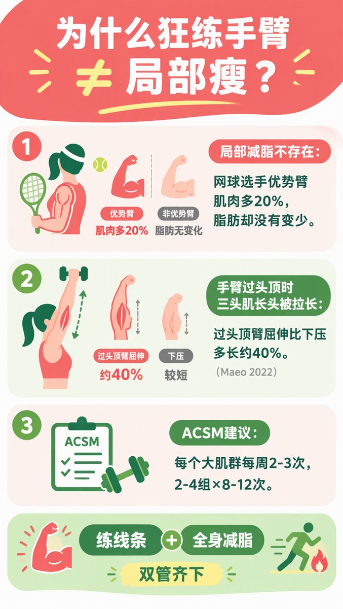 信息图:为什么狂练手臂≠局部瘦——网球选手优势臂肌肉多20%但脂肪没少;过头顶臂屈伸比下压多长约40%;ACSM建议每周2-3次