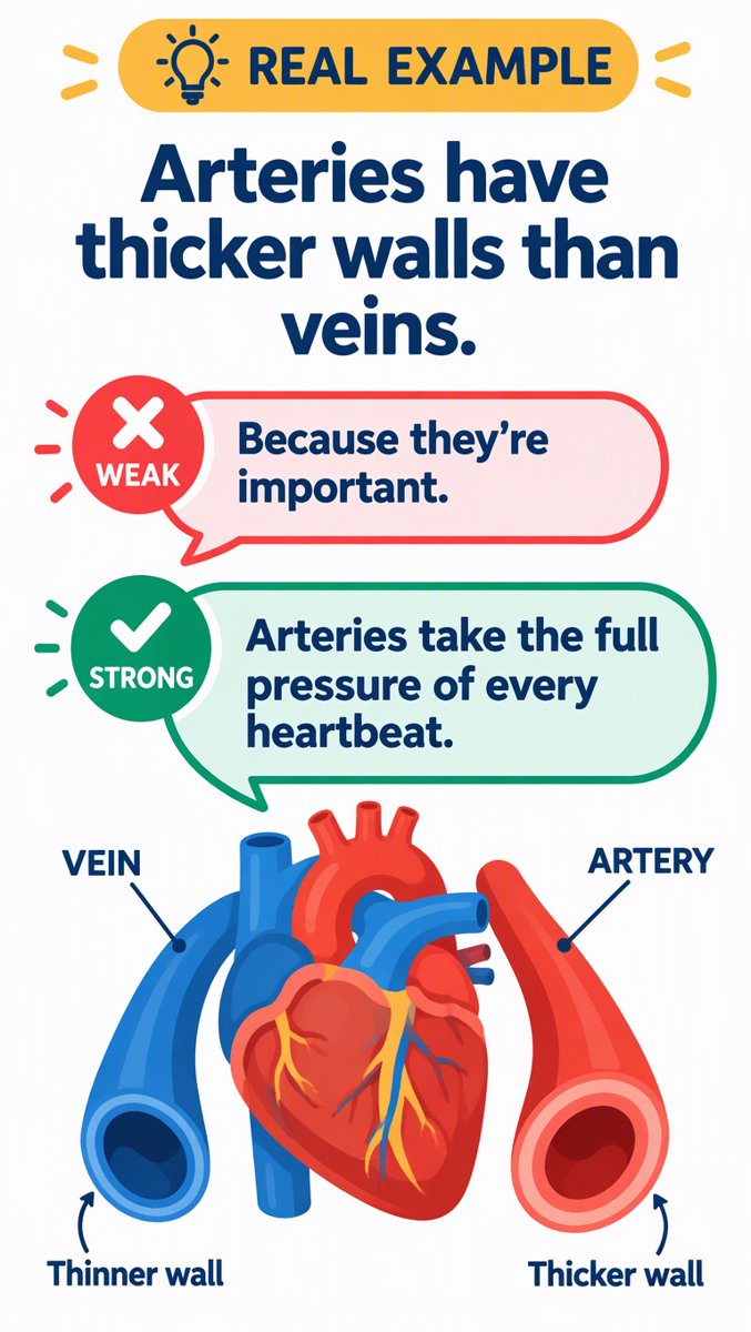 Real Example — arteries vs veins: weak answer vs strong answer