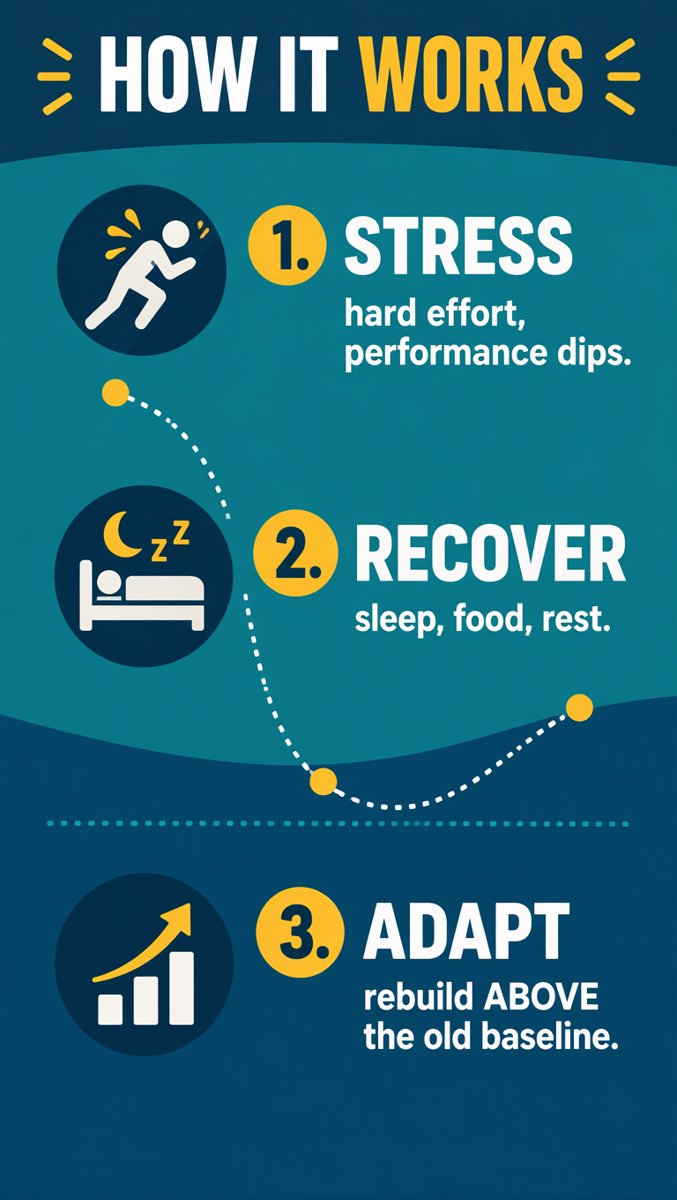 How It Works — stress, recover, adapt
