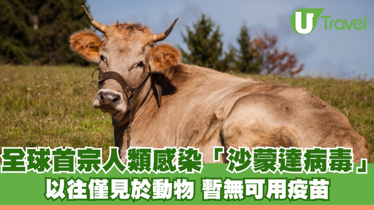 法國驚現全球首宗人類感染沙蒙達病毒死亡個案