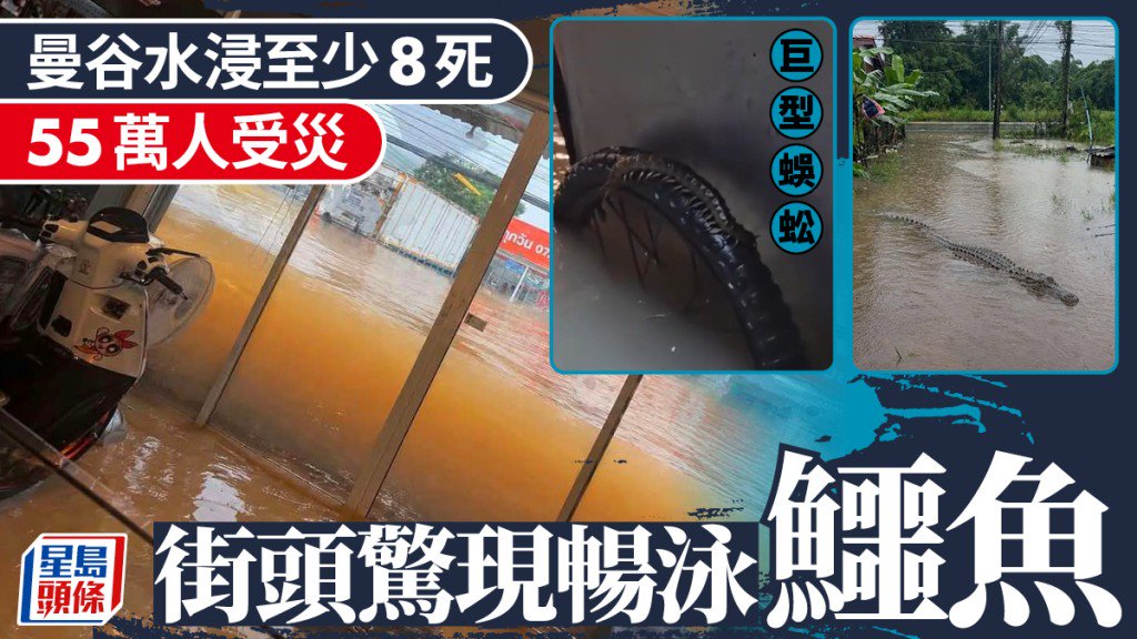 曼谷水浸｜致8死55萬人受災 鱷魚出逃民眾街頭衝浪