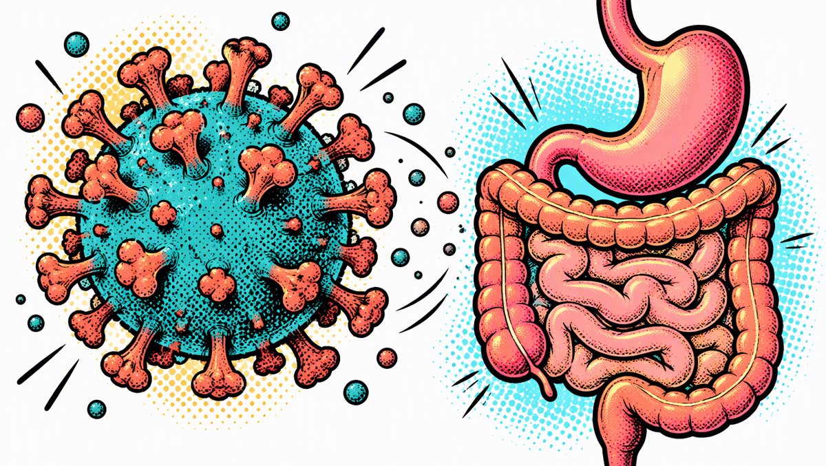 Colorful educational illustration of the norovirus β a microscopic sphere with spiky crown-like proteins β surrounded by simplified stomach and intestine shapes, bright modern medical style